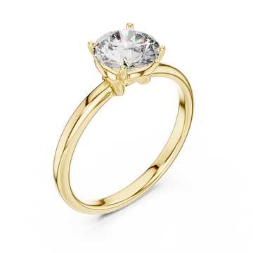 Gold Pure Grace Adorned Circle Ensemble Right View